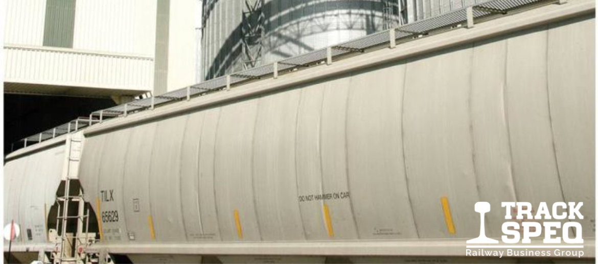 Alimentos banner inicial
